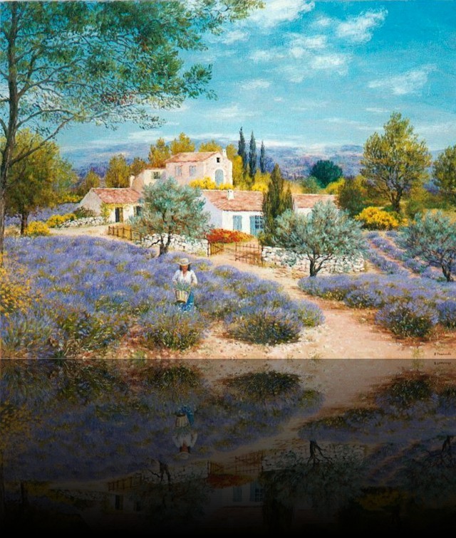 Rcolte de la lavande